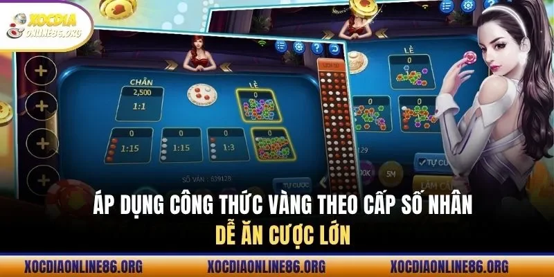 ap dung cong thuc vang theo cap so nhan de an cuoc lon Áp dụng công thức vàng theo cấp số nhân dễ ăn cược lớn