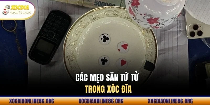 cac meo san tu tu trong xoc dia Các mẹo săn Tứ Tử trong xóc đĩa