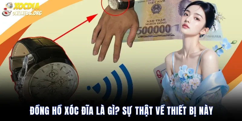 Đồng Hồ Xóc Đĩa Là Gì? Sự Thật Về Thiết Bị Này