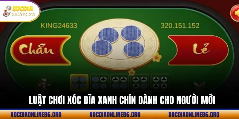 Luật chơi xóc đĩa xanh chín dành cho người mới