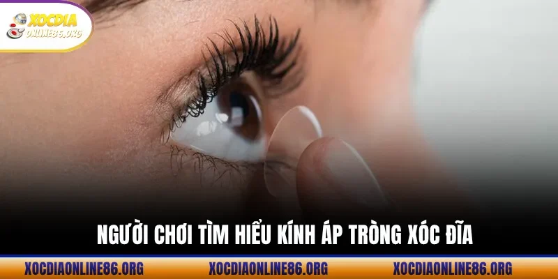 nguoi choi tim hieu kinh ap trong xoc dia Người Chơi Tìm Hiểu Kính Áp Tròng Xóc Đĩa
