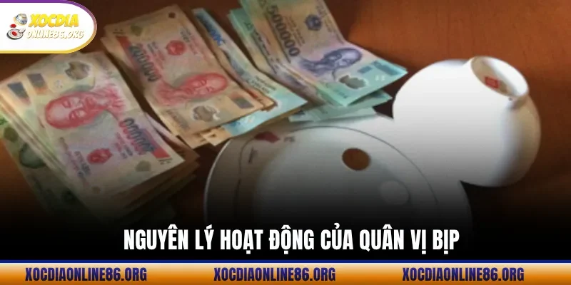 nguyen ly hoat dong cua quan vi bip Nguyên Lý Hoạt Động Của Quân Vị Bịp