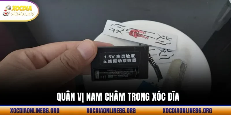 quan vi nam cham trong xoc dia Quân Vị Nam Châm Trong Xóc Đĩa