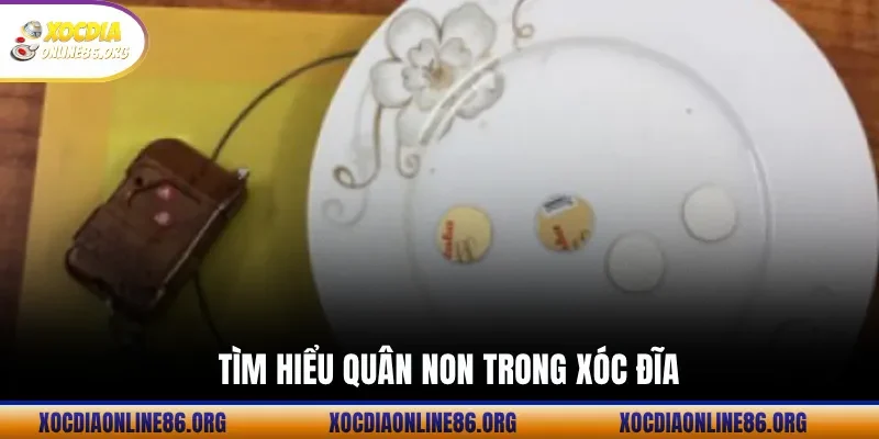 Tìm Hiểu Quân Non Trong Xóc Đĩa