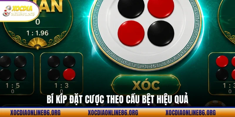 Bí kíp đặt cược theo cầu bệt hiệu quả