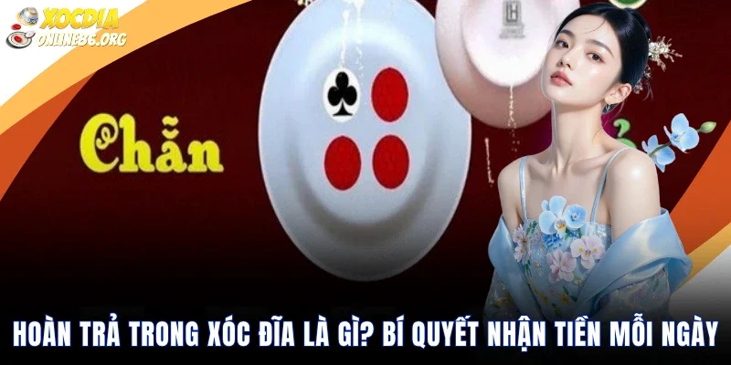 Hoàn Trả Trong Xóc Đĩa Là Gì? Bí Quyết Nhận Tiền Mỗi Ngày