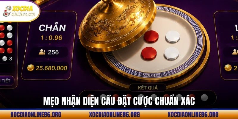 meo nhan dien cau dat cuoc chuan Mẹo nhận diện cầu đặt cược chuẩn xác