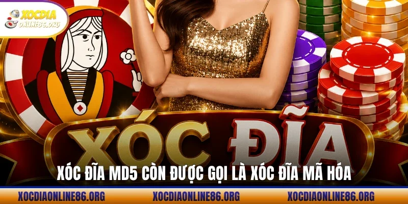 Xóc đĩa MD5 còn được gọi là xóc đĩa mã hóa