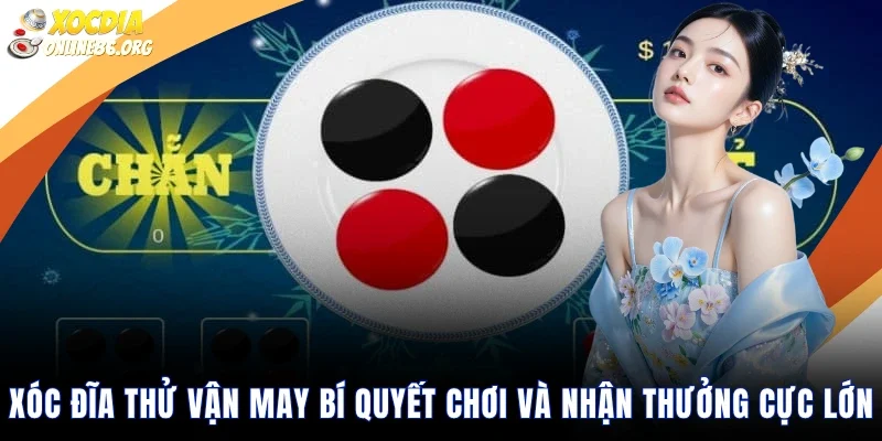 Xóc Đĩa Thử Vận May Bí Quyết Chơi Và Nhận Thưởng Cực Lớn